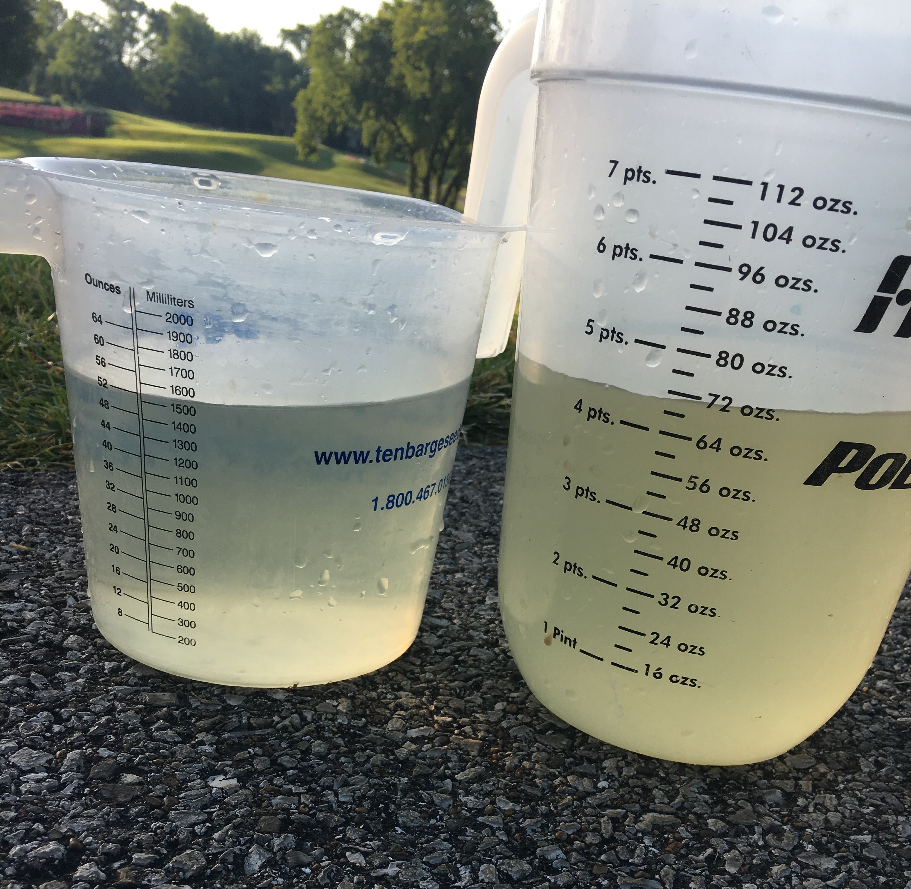 Water Comparison side by side 